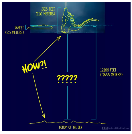 Chết cười với 1001 kiểu đứng giữa đại dương của chúa tể Godzilla qua sự sáng tạo của cư dân mạng! - Ảnh 2.