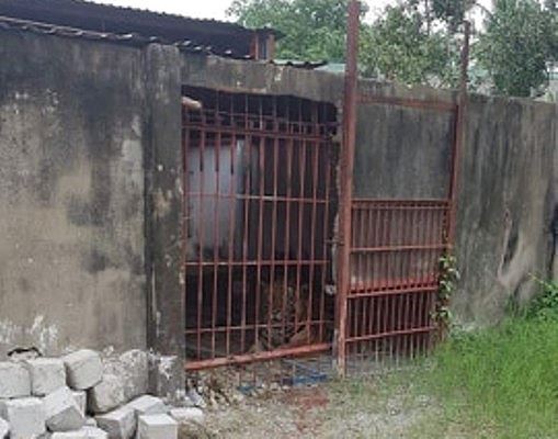 Chuy&ecirc;n gia n&oacute;i g&igrave; vụ hổ ăn đứt l&igrave;a tay ở B&igrave;nh Dương? - Ảnh 2.