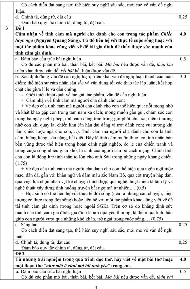 Đáp án chính thức môn Văn thi vào lớp 10 năm 2019 của Sở GD-ĐT TPHCM - Ảnh 3.