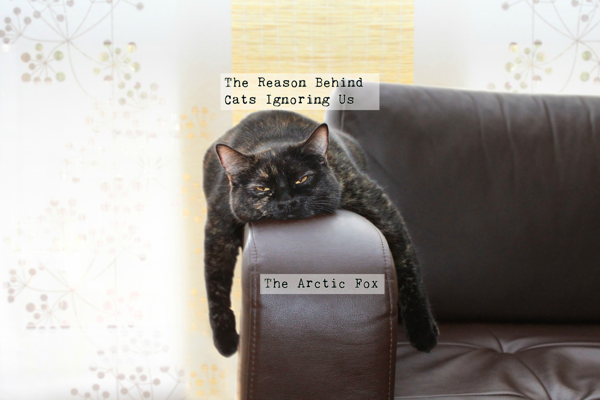 10 sự thật về thế giới mà sống trên đời ngần ấy năm có thể chưa bao giờ bạn nghe qua - Ảnh 3.