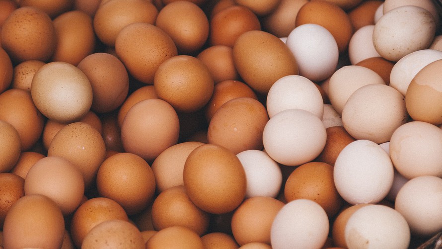Trứng gà nâu và trứng gà trắng có giá cả chênh lệch nhau tại
