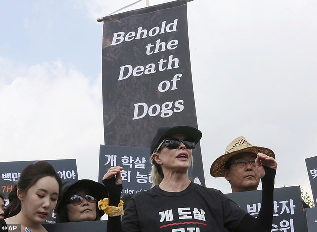 Hàn Quốc: Vừa thấy nhóm biểu tình phản đối ăn thịt chó, chủ trại chó mở tiệc ngay bên cạnh để khiêu khích - Ảnh 2.