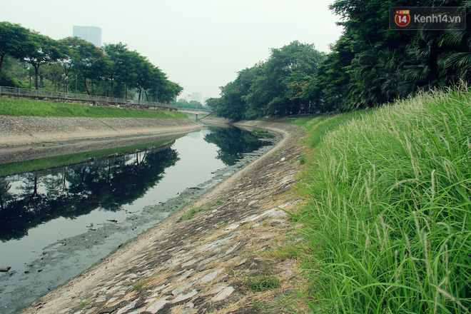 5 ngày sau khi nước Hồ Tây xả vào sông Tô Lịch: Cá chết nổi trắng, bốc mùi hôi trở lại - Ảnh 2.