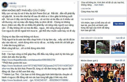 Khu du lịch th&aacute;c Prenn Đ&agrave; lạt lại bị tố ngược đ&atilde;i động vật - Ảnh 1.