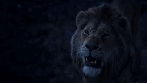 7 bài học cuộc sống rút ra từ The Lion King: Rốt cuộc 2 con heo và chồn hát Hakuna Matata có ý nghĩa gì? - Ảnh 7.