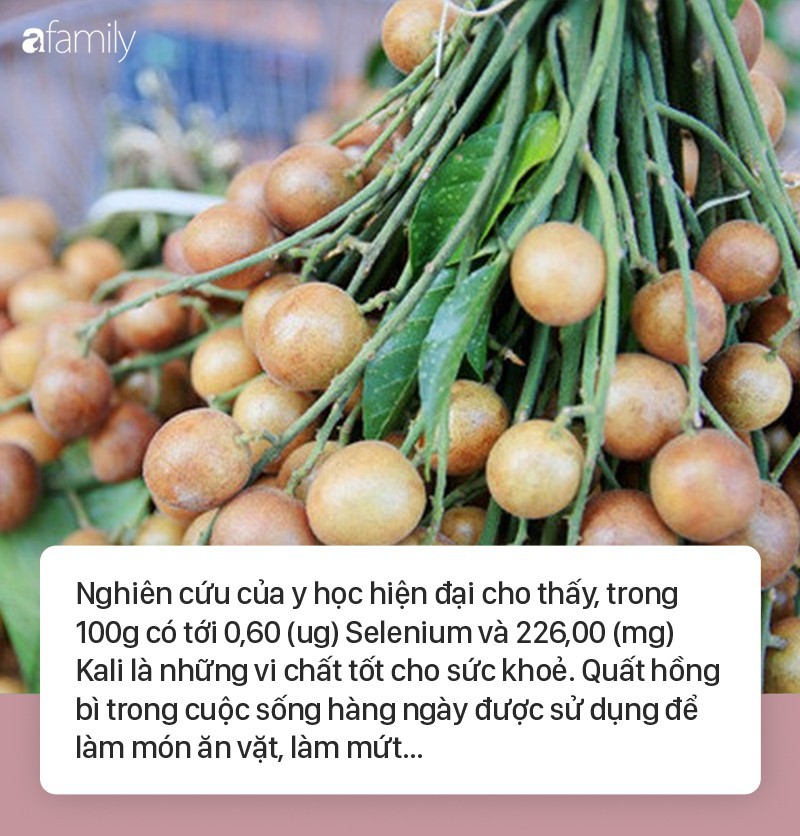 Quất hồng bì đang vào mùa rộ, chuyên gia mách hãy tận dụng để cả người lớn lẫn trẻ nhỏ đều khỏe re - Ảnh 1. Quất hồng bì đang vào mùa rộ, chuyên gia mách hãy tận dụng để cả người lớn lẫn trẻ nhỏ đều khỏe re - Ảnh 1.