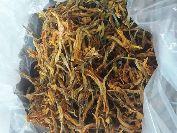 Loại hoa siêu chảnh năm nở 1 lần, nửa triệu/kg vẫn cháy hàng nhờ tác dụng chữa mất ngủ, động thai, viêm gan cực hiệu quả - Ảnh 2.