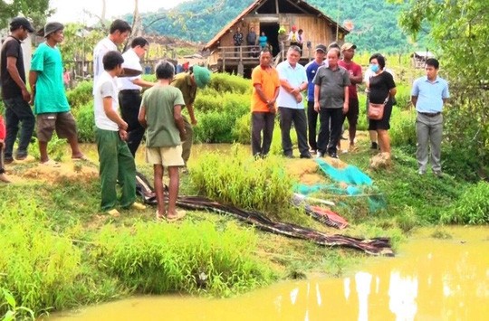 Khánh Hòa: 4 em nhỏ chết đuối thương tâm tại ao nước trước nhà - Ảnh 2.