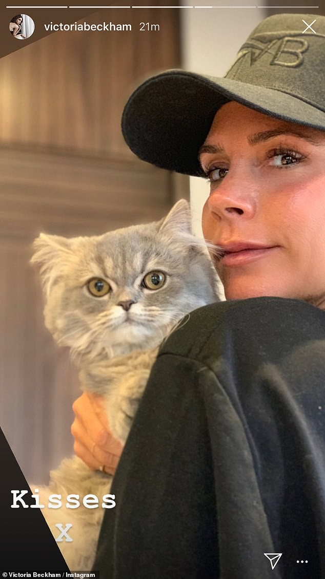 Cùng chup hình đọ sắc bên mèo cưng, ngoại hình của Harper Beckham so với mẹ Victoria đã gây chú ý lớn - Ảnh 1.