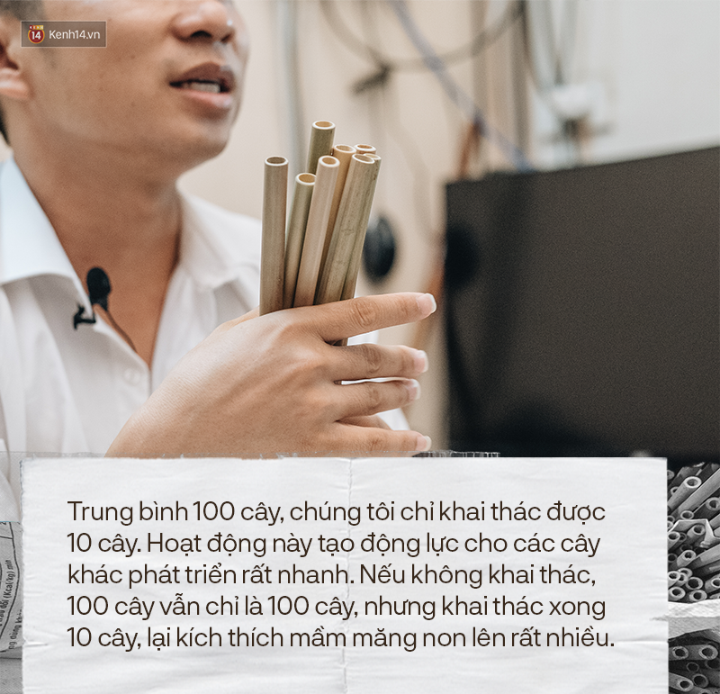 Bị hoài nghi tận diệt môi trường để kiếm tiền, tỷ phú ống hút tre thẳng thắn: Mọi người chưa hiểu quá trình tôi khai thác và tái tạo tự nhiên - Ảnh 10.