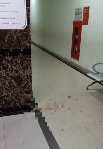 Hà Nội: Nhiều cư dân bức xúc khi cô gái say rượu bất ngờ nôn ra sảnh thang máy - Ảnh 1.