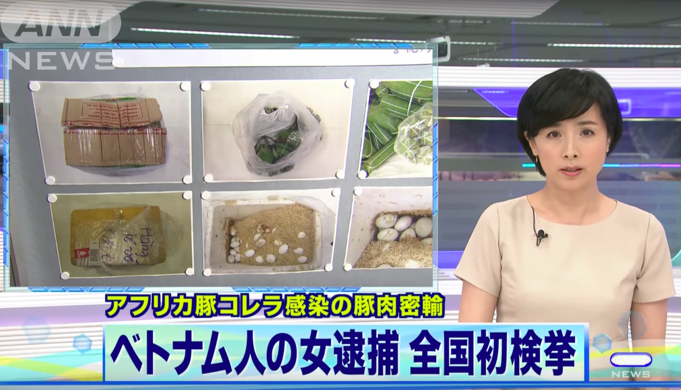 Cựu du học sinh Nhật nói về vụ cô gái bị bắt vì 10kg nem chua và trứng vịt: Không nên lấy đói nghèo để bao biện cho sự phạm pháp - Ảnh 4.