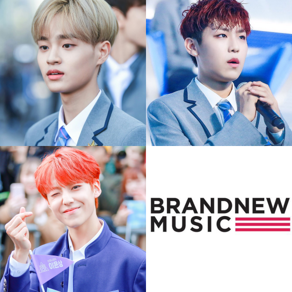 Sau 4 mùa Produce 101, đâu là công ty có nhiều gà được debut nhất? - Ảnh 2.