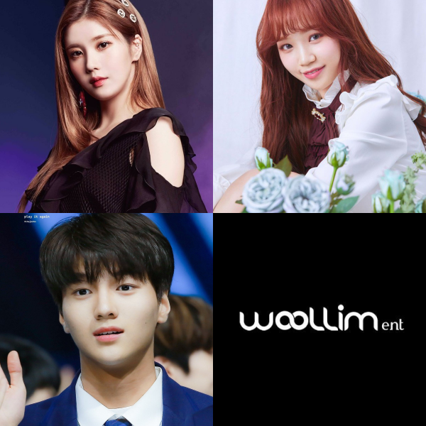 Sau 4 mùa Produce 101, đâu là công ty có nhiều gà được debut nhất? - Ảnh 4.