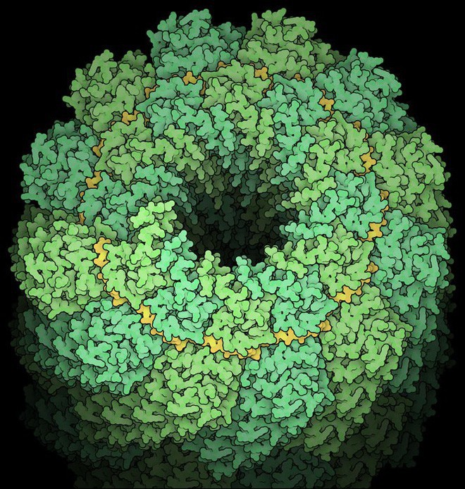 Nhà khoa học tô màu cho những con virus, biến chúng thành tác phẩm nghệ thuật - Ảnh 7.