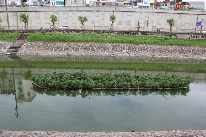 Nhìn lại 2 tháng thăng trầm xử lý sông Tô Lịch: Nước vẫn đen, sông vẫn bẩn - Ảnh 19.