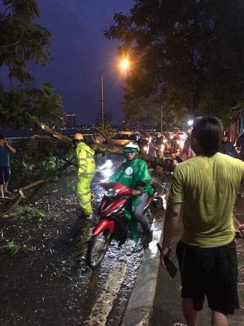 Hà Nội: Cây xanh ngã đổ giữa đường, đè trúng hai người phụ nữ đi xe máy - Ảnh 1.