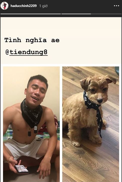 Hà Đức Chinh nuôi thú cưng đặt tên là Đen, gửi bạn gái Mai Hà Trang chăm sóc - Ảnh 1.