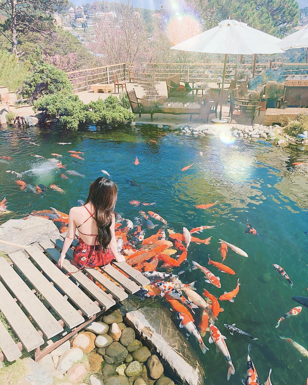 Lên Đà Lạt làm bạn với cá Koi, Kỳ Duyên và Minh Triệu khiến fan “ngất lịm” trước quán cafe style Nhật cực hot này! - Ảnh 15. Lên Đà Lạt làm bạn với cá Koi, Kỳ Duyên và Minh Triệu khiến fan “ngất lịm” trước quán cafe style Nhật cực hot này! - Ảnh 15.