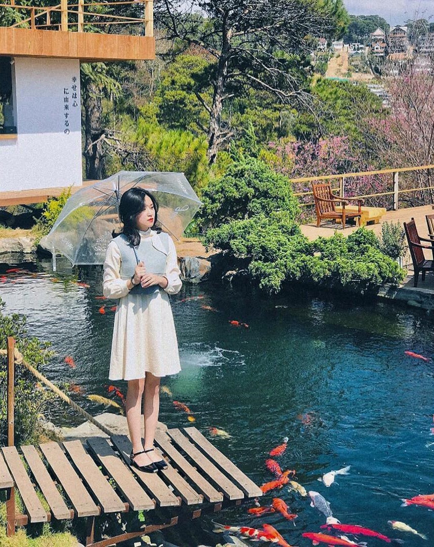Lên Đà Lạt làm bạn với cá Koi, Kỳ Duyên và Minh Triệu khiến fan “ngất lịm” trước quán cafe style Nhật cực hot này! - Ảnh 2. Lên Đà Lạt làm bạn với cá Koi, Kỳ Duyên và Minh Triệu khiến fan “ngất lịm” trước quán cafe style Nhật cực hot này! - Ảnh 2.