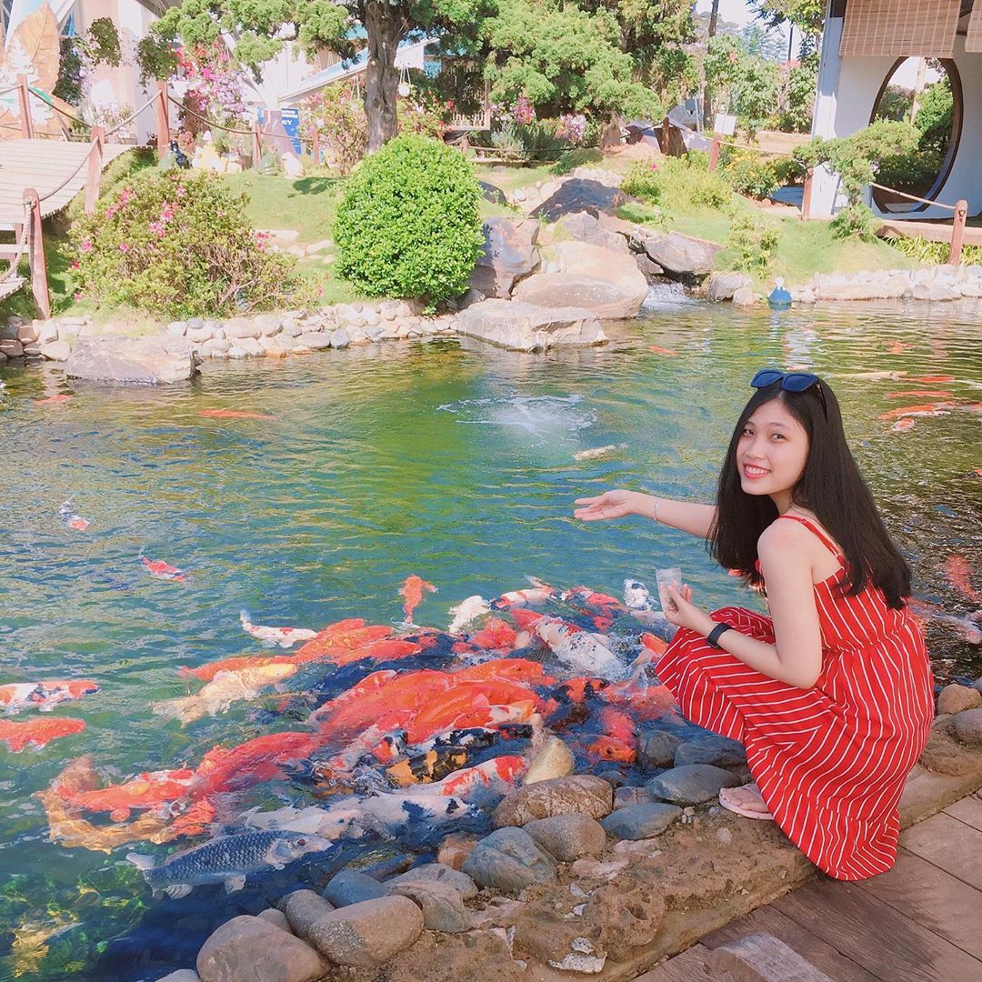 Lên Đà Lạt làm bạn với cá Koi, Kỳ Duyên và Minh Triệu khiến fan “ngất lịm” trước quán cafe style Nhật cực hot này! - Ảnh 13. Lên Đà Lạt làm bạn với cá Koi, Kỳ Duyên và Minh Triệu khiến fan “ngất lịm” trước quán cafe style Nhật cực hot này! - Ảnh 13.