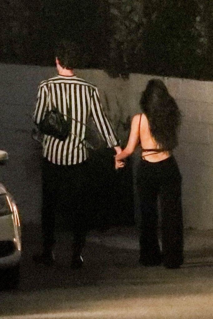 Shawn Mendes đúng chuẩn hình mẫu bạn trai trong mơ của fan nữ khi vừa nắm tay Camila vừa đeo túi hộ cô nàng