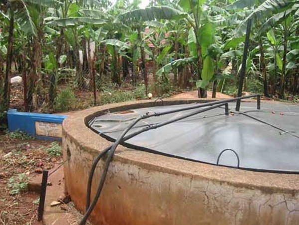 Bất lực chứng kiến 2 người chết do ngộ độc khí trong hầm Biogas - Ảnh 1.