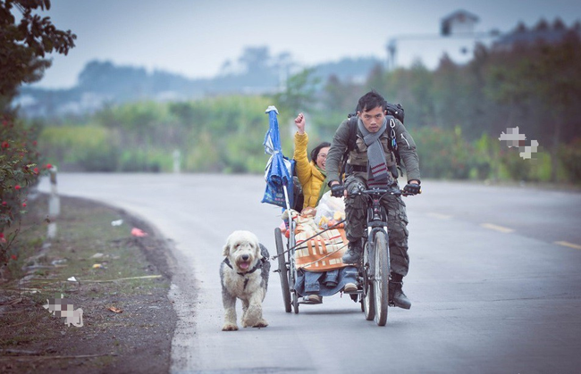 Xe lăn, xe đạp và một chú chó: Hành trình tình yêu gây sốt MXH từ hai con người phi thường - Ảnh 1.
