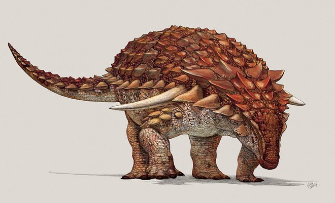 Xác ướp khủng long được bảo quản nguyên vẹn hơn 100 triệu năm có trọng lượng gần như tương tự lúc còn sống - Ảnh 5.