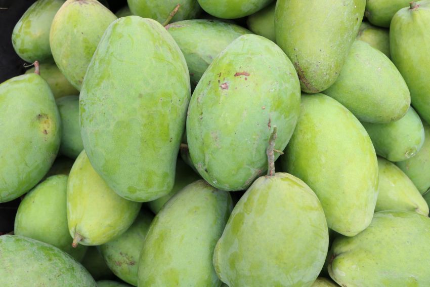 C&ugrave;ng l&agrave; xo&agrave;i nhưng ở ngo&agrave;i chợ c&oacute; đến 10 loại để bạn lựa chọn v&agrave; thưởng thức - Ảnh 3.