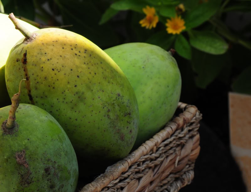 C&ugrave;ng l&agrave; xo&agrave;i nhưng ở ngo&agrave;i chợ c&oacute; đến 10 loại để bạn lựa chọn v&agrave; thưởng thức - Ảnh 4.