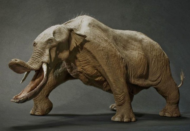 Có thể bạn chưa biết, tổ tiên của voi và tê giác cổ đại có vẻ ngoài quái dị hơn ngày nay nhiều! - Ảnh 4.