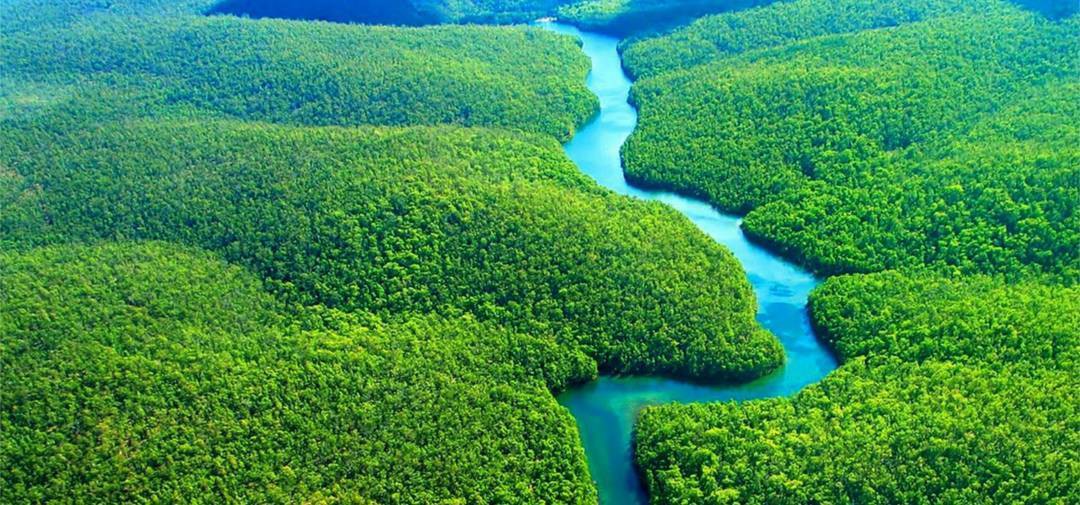 24 bức ảnh cho thấy rừng Amazon từ lá phổi xanh của thế giới đã trở thành  chứng tích cho sự tàn phá của con người