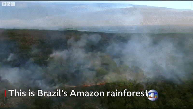 Loạt ảnh gây sốc về rừng Amazon bùng cháy với tốc độ kỷ lục: Khói có thể nhìn thấy từ ngoài không gian, các thành phố bị bao phủ mù mịt như tận thế - Ảnh 6.