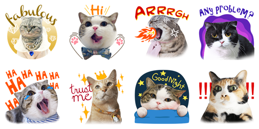 Nguồn gốc bộ sticker mèo đang làm Facebook chao đảo: Cả dòng họ ...