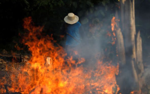 Sự thật về loạt hình thú rừng chết cháy ở Amazon gây ám ảnh: Hỏa hoạn và những cái chết là thật, nhưng không liên quan đến nhau! - Ảnh 1.