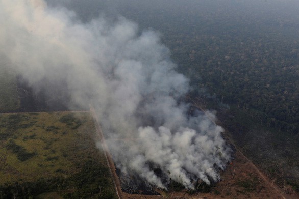 Tổng thống Brazil huy động quân đội dập tắt cháy rừng Amazon - Ảnh 1.