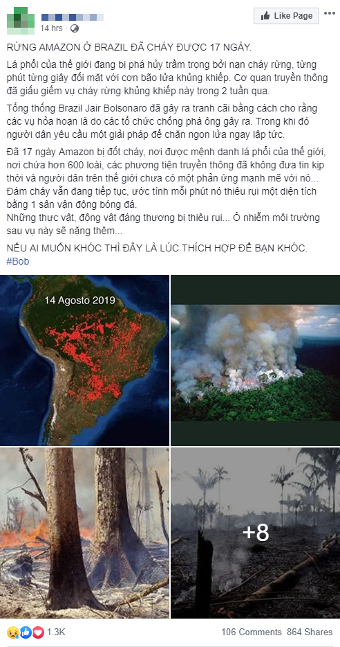 Thảm họa Amazon không còn là chuyện ở xa: Dân mạng thế giới và Việt Nam đồng loạt lên tiếng kêu gọi cứu lấy cánh rừng xanh - Ảnh 7.