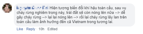 Thảm họa Amazon không còn là chuyện ở xa: Dân mạng thế giới và Việt Nam đồng loạt lên tiếng kêu gọi cứu lấy cánh rừng xanh - Ảnh 5.