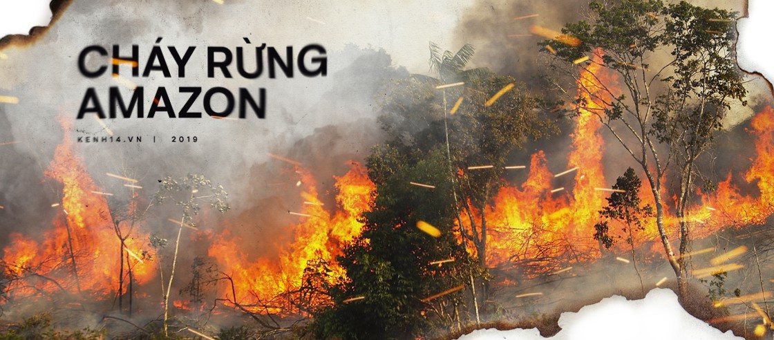 Cháy rừng Amazon