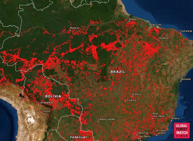 Thảm họa Amazon không còn là chuyện ở xa: Dân mạng thế giới và Việt Nam đồng loạt lên tiếng kêu gọi cứu lấy cánh rừng xanh - Ảnh 1.