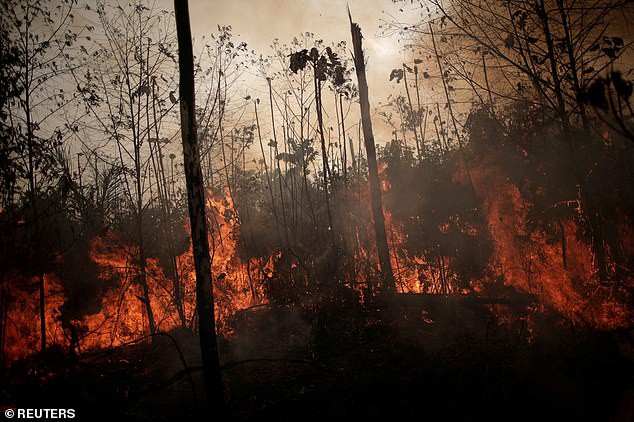 Dân bản địa Brazil gào khóc trước cảnh tượng rừng Amazon bốc cháy: Họ đang giết chết những dòng sông và nguồn sống của chúng tôi - Ảnh 3.