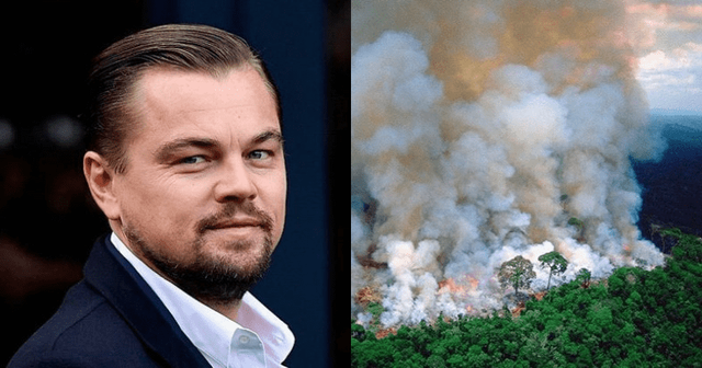 Sau Leonardo DiCaprio, CEO Apple tuy&ecirc;n bố sẽ g&oacute;p tiền kh&ocirc;i phục v&agrave; bảo tồn rừng Amazon - Ảnh 3.
