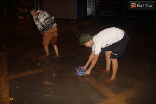 Người Hà Nội mang rổ ra giữa đường phố bắt hàng kg cá trong đêm mưa gió - Ảnh 4.