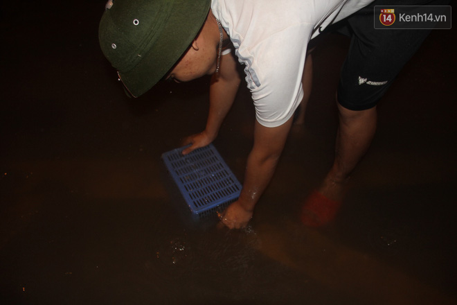 Người Hà Nội mang rổ ra giữa đường phố bắt hàng kg cá trong đêm mưa gió - Ảnh 5.