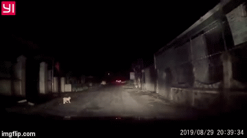 Clip: Chạy xe trong ngõ vắng, tài xế ô tô hú hồn khi phát hiện cháu bé bò lổm ngổm ngoài đường trong đêm - Ảnh 2.