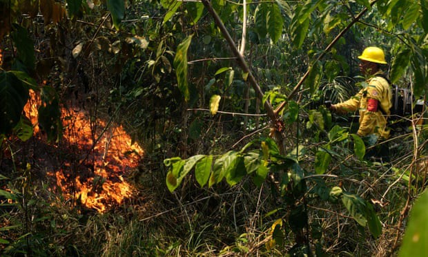 Cháy rừng hoành hành, Brazil lo bộ lạc khu vực Amazon bị xóa sổ - Ảnh 1.
