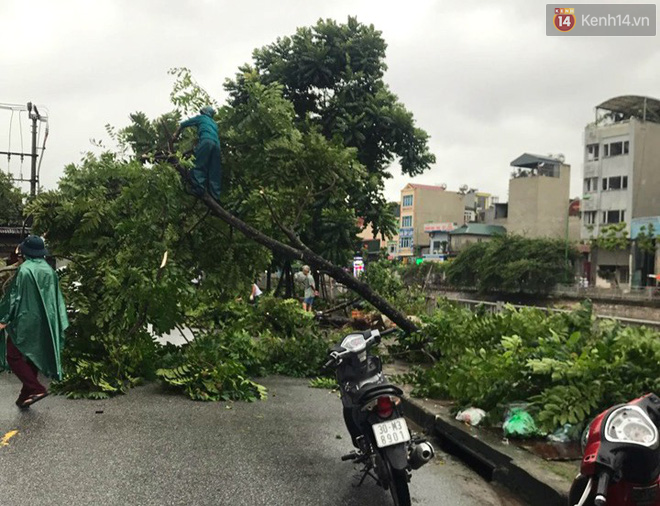 Mưa lớn, cây xanh tại Hà Nội đổ gục hàng loạt, dây điện chằng chịt trên vỉa hè - Ảnh 1.