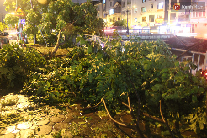 Mưa lớn, cây xanh tại Hà Nội đổ gục hàng loạt, dây điện chằng chịt trên vỉa hè - Ảnh 3.