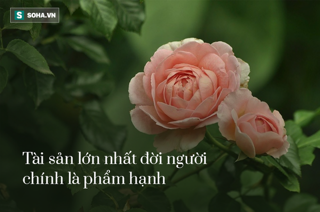 Nhặt được chiếc ví da, nhiều năm sau, cô bé mồ côi nhận được bản di chúc đáng kinh ngạc - Ảnh 3.